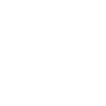 Security Cable Seals